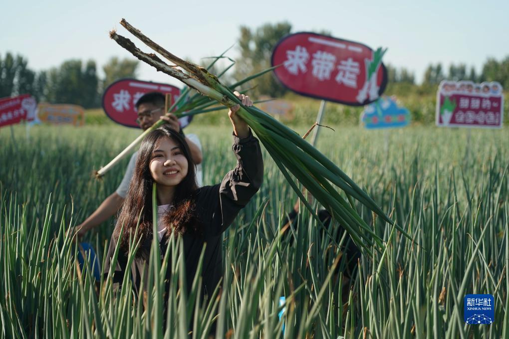宝马娱乐在线bm668